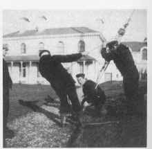 antennaneedleslow.jpg (191974 byte)