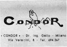 condor 1.jpg (27572 byte)