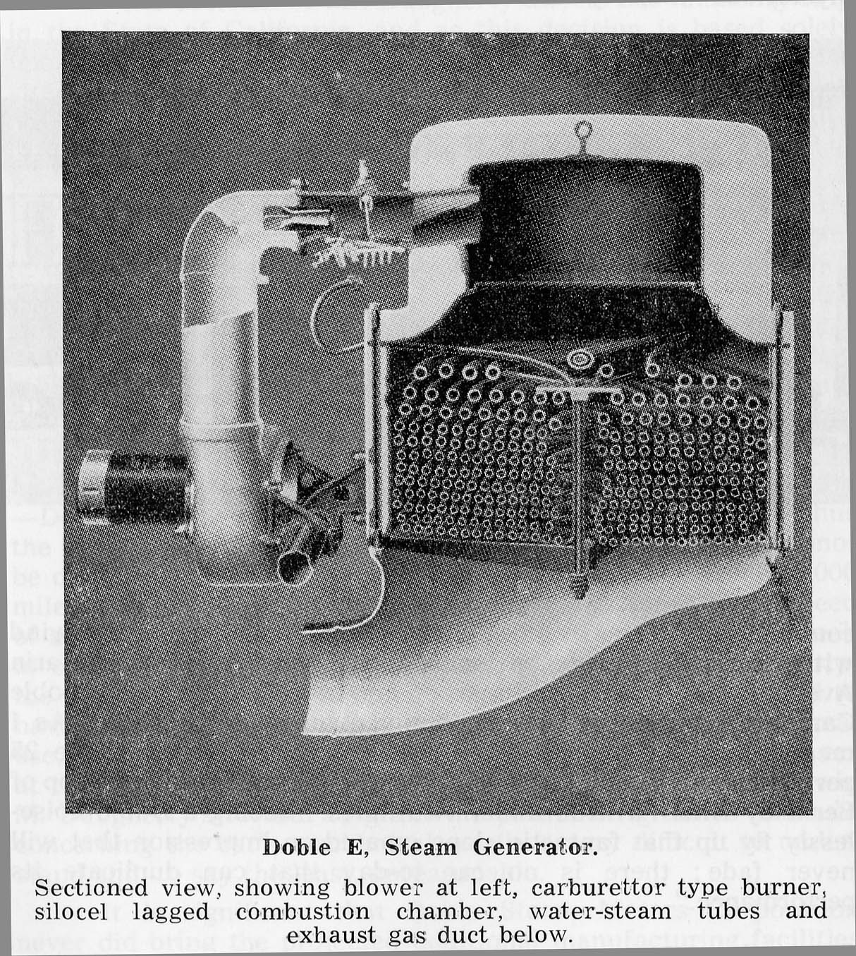 Double steam cell фото 98